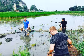 Du khách Mỹ trải nghiệm úp nơm bắt cá ở Ninh Bình. (Ảnh: Quang Hải/Vietnam+)