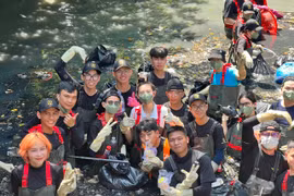 (Ảnh: CTV/Vietnam+)