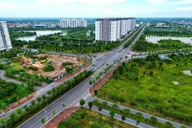 Hàng nghìn căn biệt thự, liền kề và shophouse thuộc dự án khu đô thị Thanh Hà Cienco 5 đã được bán hết nhưng người dân lại chưa được xây dựng. (Ảnh: Tuấn Anh/TTXVN)