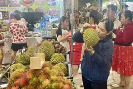 Du khách trong và ngoài tỉnh tham quan, mua sắm các đặc sản trai cây Long Khánh tại lễ hội. (Ảnh: Lê Xuân/TTXVN)