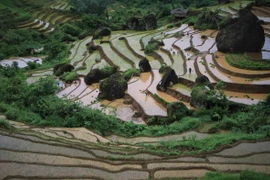Ruộng bậc thang quanh co, uốn lượn theo sườn núi. (Ảnh: Nguyễn Oanh/TTXVN)