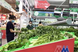 Người dân mua sắm tại siêu thị Mega Market. (Ảnh: Mỹ Phương/TTXVN)