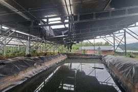 Hiện trường vụ cháy. (Ảnh: TTXVN phát)