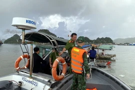 Lực lượng chức năng tham gia tìm kiếm nạn nhân. (Ảnh: TTXVN phát)