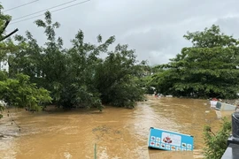 Mưa lớn kéo dài suốt đêm 9 và ngày 10/6 đã khiến nước sông Lô ở thành phố Hà Giang dâng cao, gây ngập lụt các hộ sống ven sông. (Ảnh: Minh Tâm/TTXVN)