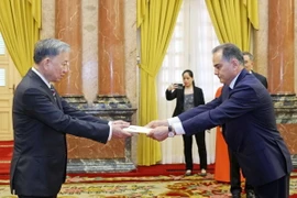 Chủ tịch nước Tô Lâm tiếp nhận Quốc thư của Đại sứ Turkmenistan Parakhat Durdyev. (Ảnh: Nhan Sáng/TTXVN)