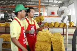 Việt Nam sắp là nước xuất khẩu cao su thứ ba thế giới