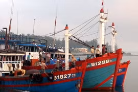 Ngư dân Bình Thuận vững mạnh vươn khơi, bảo vệ chủ quyền