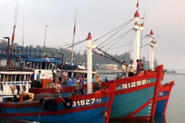 Ngư dân Bình Thuận vững mạnh vươn khơi, bảo vệ chủ quyền