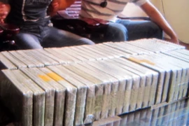 Phá đường dây xuyên quốc gia buôn bán 48 bánh heroin
