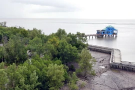 Quy hoạch tổng thể để bảo tồn đa dạng sinh học đến năm 2030