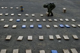 Chính phủ Colombia và FARC đạt thỏa thuận về chống ma túy