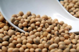 Giá đậu tương giảm trước đồn đoán kho dự trữ chạm mức kỷ lục