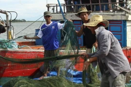 Ngư dân Bình Định kiên trì quyết tâm vươn khơi bám biển