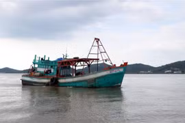 Ảnh minh họa. (Nguồn: TTXVN)