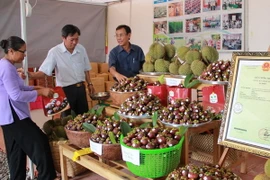 Gian hàng trưng bày và bán sản phẩm măng cụt, sầu riêng vùng Lái Thiêu (sản phẩm được công nhân nhãn hiệu tập thể). (Ảnh: Dương Chí Tưởng/TTXVN)
