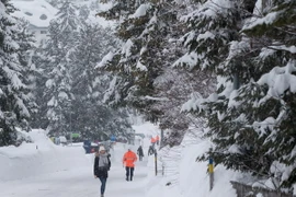 Tuyết rơi dày đặc tại Davos, Thụy Sĩ ngày 22/1. (Nguồn: THX/TTXVN)