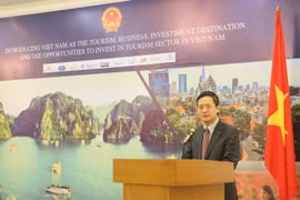 Đại sứ Phạm Vinh Quang phát biểu khai mạc hội thảo. (Ảnh: Đỗ Quyên/Vietnam+)