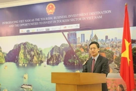 Đại sứ Phạm Vinh Quang phát biểu khai mạc hội thảo. (Ảnh: Đỗ Quyên/Vietnam+)