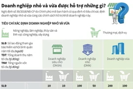 [Infographics] Doanh nghiệp nhỏ và vừa được hỗ trợ những gì?