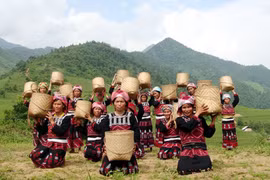 Lễ ăn cơm mới của người Xa Phó ở Sapa. (Nguồn: dulichsapa365.vn)