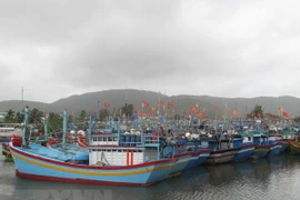 Tàu thuyền neo đậu tránh bão. Ảnh minh họa. (Ảnh: Viết Ý/TTXVN)