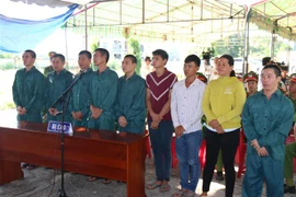 Các bị cáo tại phiên xét xử. (Ảnh: Nguyễn Thanh/TTXVN)