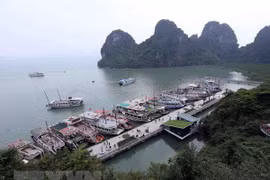 Khu neo đậu tàu du lịch vào hang Đầu Gỗ. (Ảnh: Quang Quyết/TTXVN)
