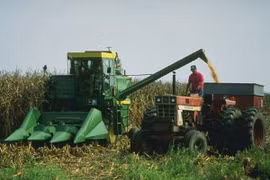 Ảnh minh họa. (Nguồn: ars.usda.gov)