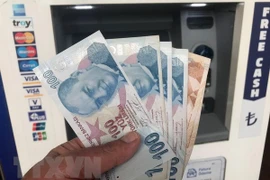 Kiểm tiền lira tại Istanbul, Thổ Nhĩ Kỳ. (Nguồn: THX/TTXVN)