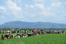 Người Rohingya chạy trốn xung đột từ Rakhine tới khu vực Palongkhali gần Ukhia, Bangladesh ngày 16/10/2017. (Nguồn: AFP/TTXVN)