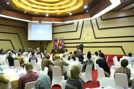 Quang cảnh diễn đàn. (Ảnh: Đỗ Quyên/TTXVN)