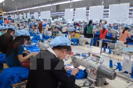 (Ảnh: Quốc Việt/TTXVN)