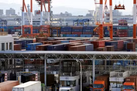 Bốc dỡ container hàng hóa tại cảng Tokyo, Nhật Bản. (Nguồn: EPA/TTXVN)