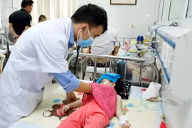 Ảnh minh họa. (Ảnh: Dương Ngọc/TTXVN)