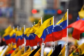 (Nguồn: TeleSUR)
