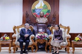 Thường trực Ban Bí thư Trần Quốc Vượng hội kiến Chủ tịch Quốc hội Lào Pany Yathotou. (Ảnh: Phạm Kiên/TTXVN)