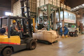 Công nhân làm việc tại doanh nghiệp FDI ACOM, khu công nghiệp Trà Đa, tỉnh Gia Lai. (Ảnh: Hoài Nam/TTXVN)