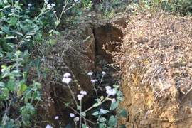 Hiện trạng vết rạn nứt rộng 1 mét trên đồi Cao. (Ảnh: Tuấn Anh/TTXVN)