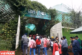 Green Box tạo cho du khách một cảm giác như bước vào một “chiếc hộp xanh”.