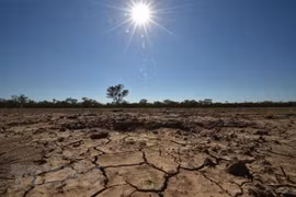 Cảnh khô hạn tại thị trấn Walgett, Australia. (Ảnh: AFP/TTXVN)