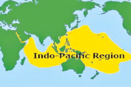 (Nguồn: theindependentbd)