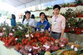 https://www.vietnamplus.vn/vi-sao-nong-san-viet-van-chua-chinh-phuc-duoc-thi-truong-han-quoc/468573.vnp