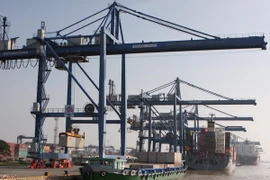 Làm rõ, xử lý thông tin về tình trạng quá tải tại cảng Cát Lái