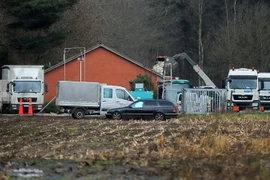 Chủng cúm gia cầm H5N8 xuất hiện trong trại nuôi gà ở Bắc Italy