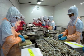 Đa dạng hóa các thị trường xuất khẩu để tránh bị phụ thuộc