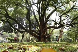 Miền Bắc trưa chiều hửng nắng, Nam Bộ có nơi có dông