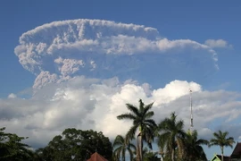 Nhật Bản xuất khẩu hệ thống cảnh báo thiên tai sang Indonesia