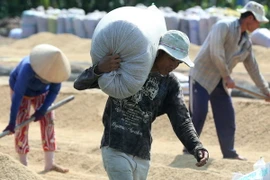 Khu vực ĐBSCL bảo đảm an ninh lương thực cho cả nước