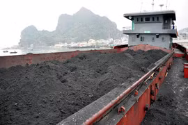 Mở rộng điều tra vụ xuất lậu than và tiền tệ qua biên giới